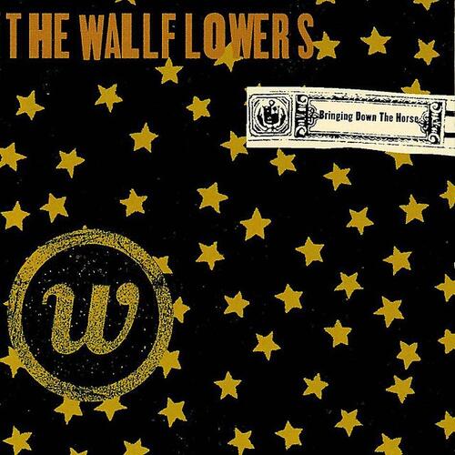The Wallflowers Bringing Down The Horse (2LP) 